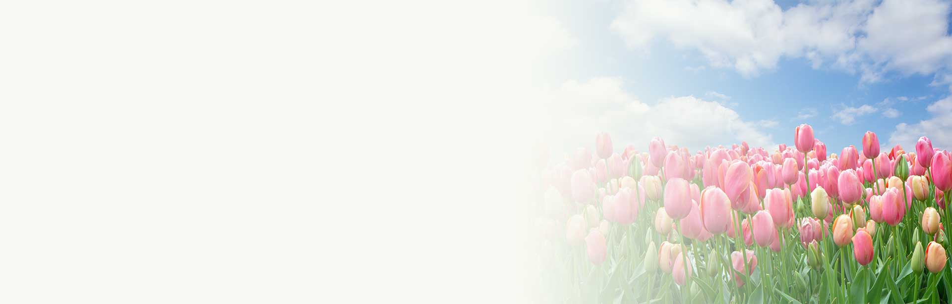 Voordelig lenen: persoonlijke lening met lage rente